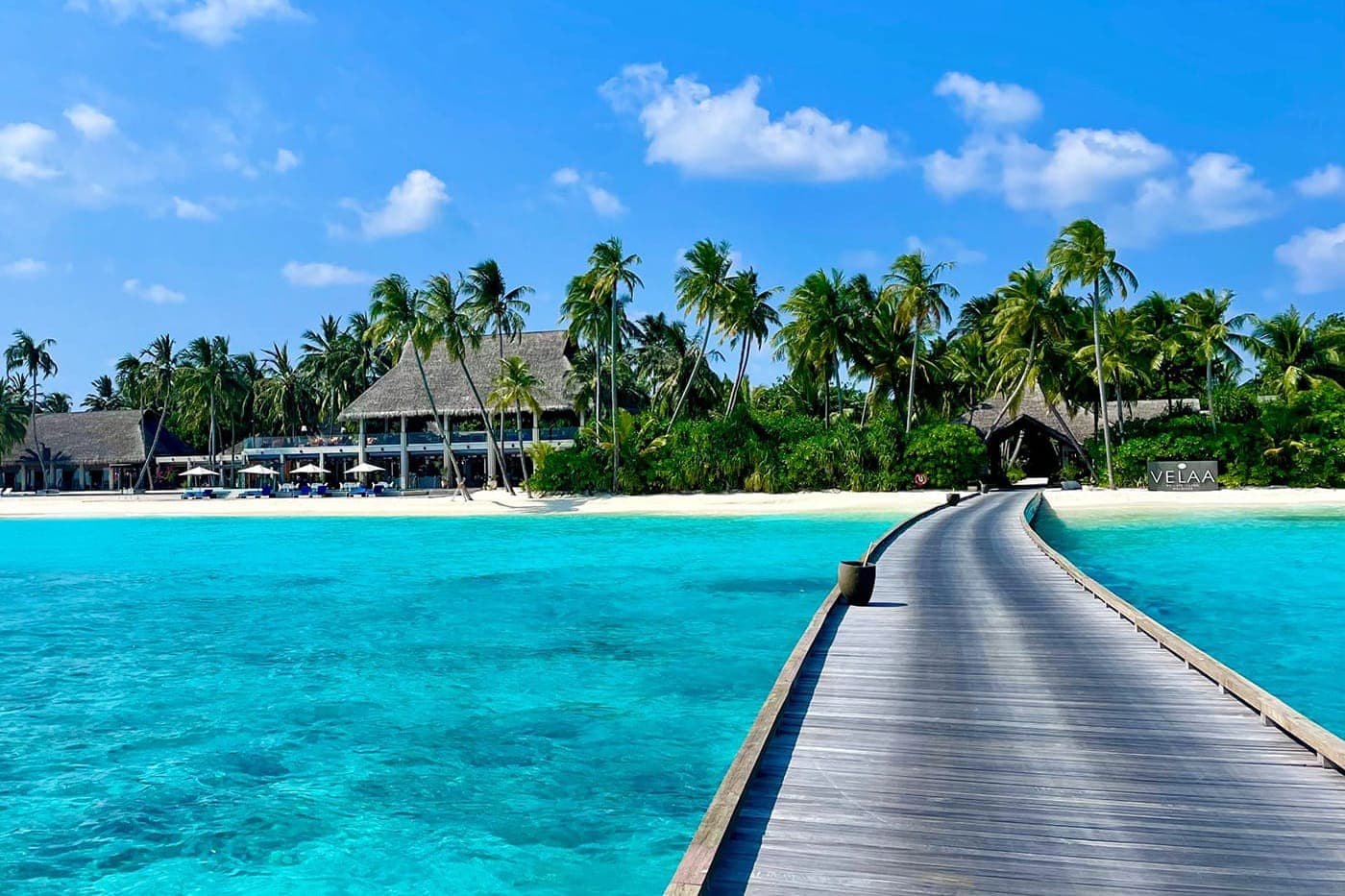 Trip of a lifetime in the Maldives